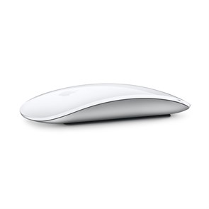 Беспроводная мышь Apple Magic Mouse (USB-C) 6511