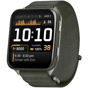 Часы Garmin VENU X1 Moss Titanium with Moss Nylon (010-2980-23) 7106