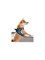 Ошейник нательный для собак Xiaomi Jordan Judy PE073 - фото 16580