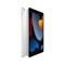 Планшет Apple iPad (2021) 256Gb Wi-Fi+Cellular - фото 17506