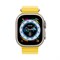 Умные часы Apple Watch Ultra 49 мм, корпус из титана, ремешок Ocean - фото 21453