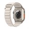 Умные часы Apple Watch Ultra 49 мм, корпус из титана, ремешок Alpine - фото 21477