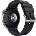 Смарт-часы Huawei Watch GT 3 Pro (ODIN-B19) 5795 - фото 28493