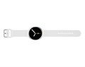 Смарт-часы Samsung Galaxy Watch8 40 мм L320 (Bluetooth) 6485 - фото 34465