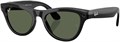 Очки Ray-Ban SKYLER (Gen2) Shiny Black G15 Green 150-52 6953 - фото 38894