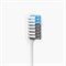Комплект зубных щеток Xiaomi Doctor B Bass Method Toothbrush - фото 7905